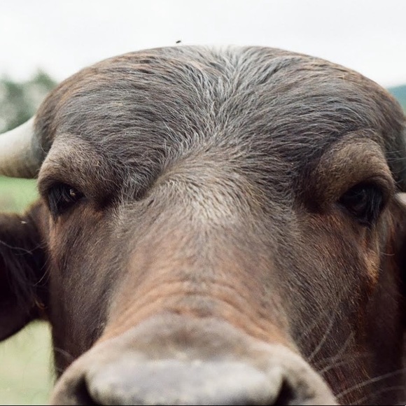 Meet the Posher - Picture 1 of 1